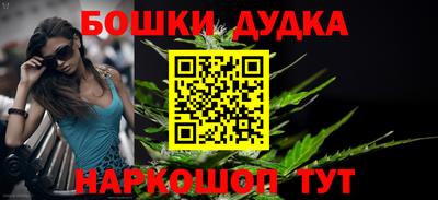 гашик Аргун