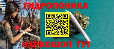 гашик Аргун